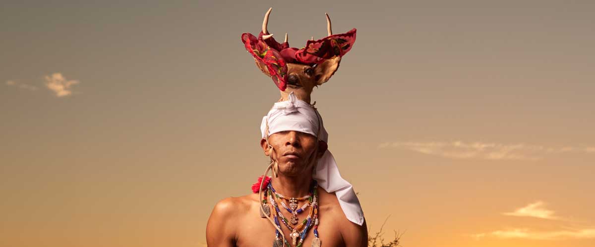 Native Nation